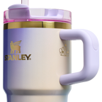 Car-Cup Friendly The Wicked for Good Quencher H2.0 Flowstate Tumbler D247R - Double-Wall Vacuum Insulated Travel Tumbler with Straw Detail