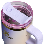 Car-Cup Friendly The Wicked for Good Quencher H2.0 Flowstate Tumbler D247R - Double-Wall Vacuum Insulated Travel Tumbler with Straw Detail