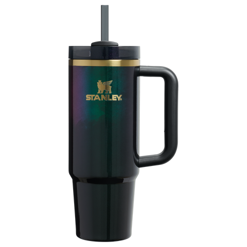 Car-Cup Friendly The Wicked for Good Quencher H2.0 Flowstate Tumbler D246P - Premium Stainless Steel Straw Cup for All-Day Hydration - Elphaba For Good